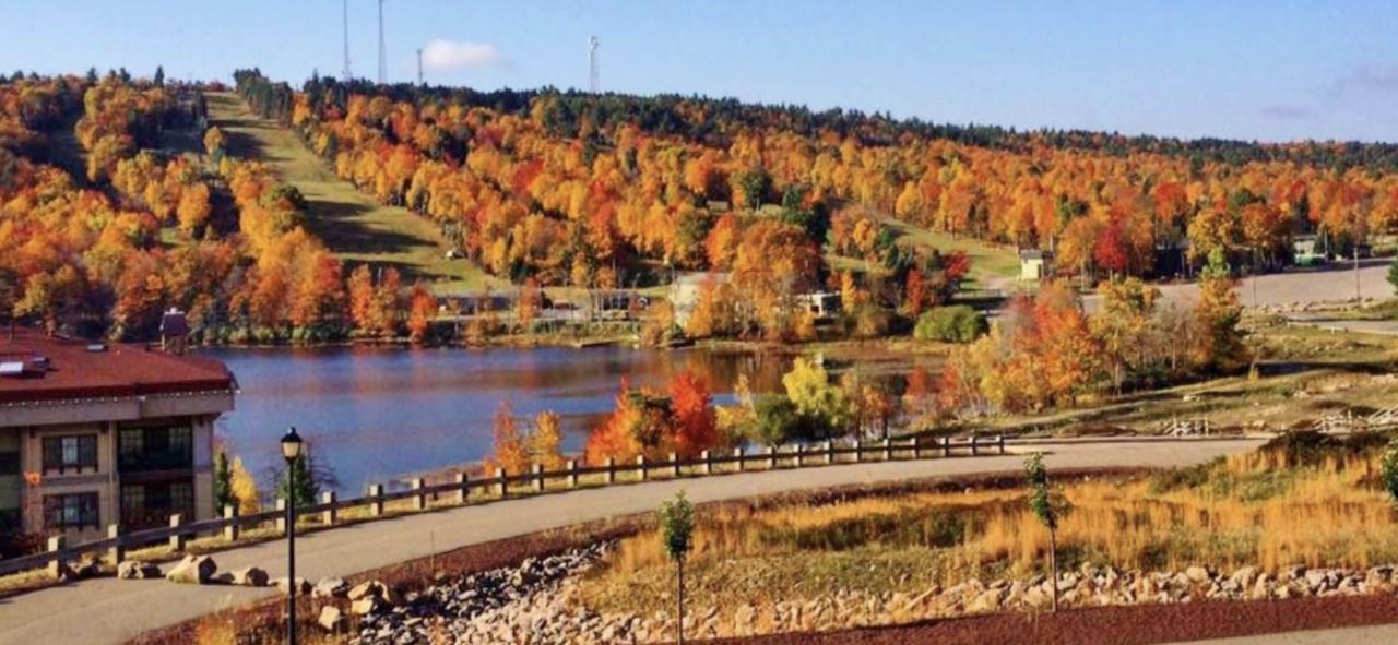 Chalet Roomy In Harmony - 3 Mins Walking Distance To Lake, Bb, Jack Frost Mts With Linens, Towels, Firepit, Hottub, Games, Grill *